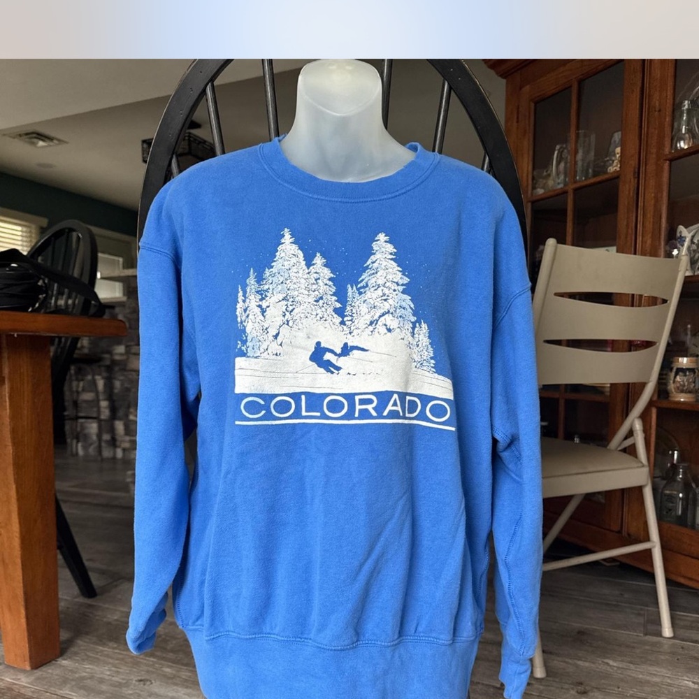 American Eagle outfitters Blue Colorado ski Sweater
